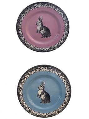 Carly Dodsley Bunny Rabbit Plate Set in Pink & Blue